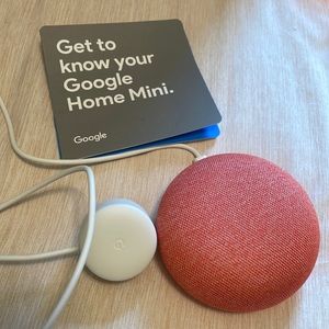 Google home mini
